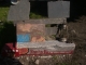 PICT2903.JPG