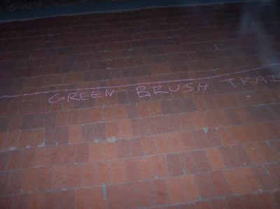 GreenBrushTrail.JPG