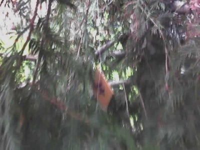 Marker #9 (poor quality)