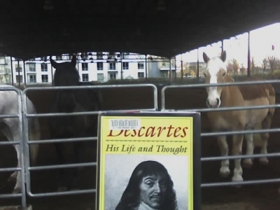 Descartes aprés le cheval