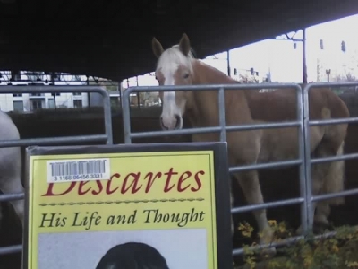 Descartes Horse 2