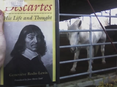 Descartes + Horse