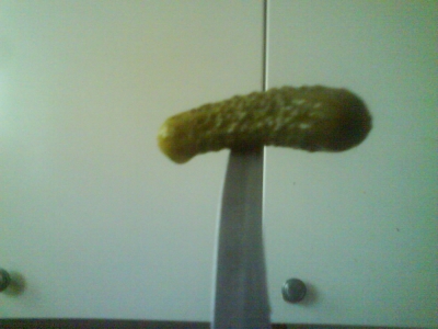 A Pickle A Pickle
