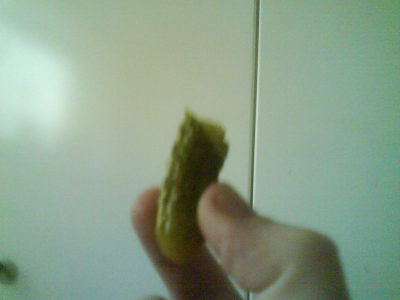 Half a Pickle
