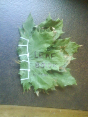 Leaf Book
