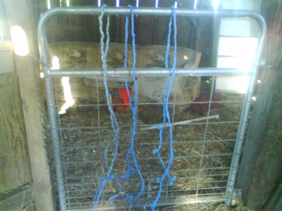 Three sub-ropes Three sub-ropes