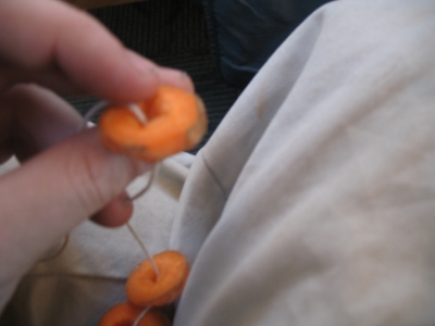 nibble.JPG nibble.JPG
