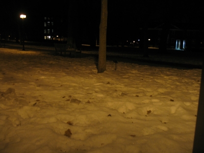 View From Location #2