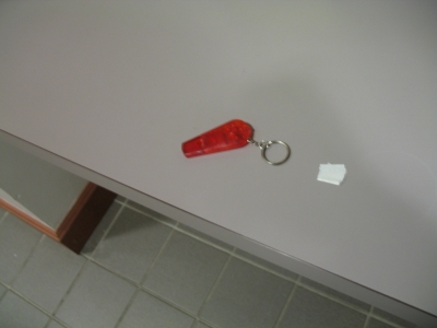 LEDWhistle.jpg