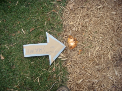 pumpkin.JPG pumpkin.JPG