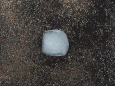 Another Animated Gif