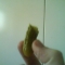 Half a Pickle