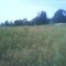 Field