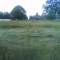 Crop Circle!