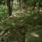 And down