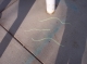 snakesJPG