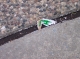 Trash After