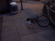 bike.JPG