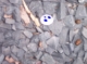 Cap of some sort