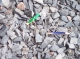 Broken pencils