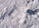 Buried