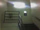 39th Floor