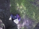 Looking down