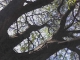 Looking Up