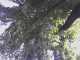 Marker #4 (Hard to See)