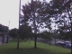 Tree #5
