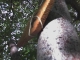 Marker #6