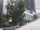 Tree #7 (and thumb)