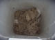 Clay