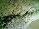 Roof material