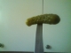A Pickle