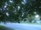 A Tree