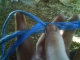Weaving in Progress