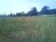 Field