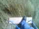 Flattening