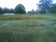 Crop Circle!