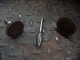 Heads