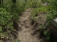 DSCN1635.JPG
