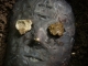DSCN1638.JPG