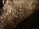 Ground