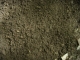 DSCN1655.JPG