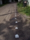 The Line of Ice