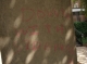 Slogan 2