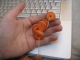 morecarrots.JPG