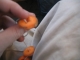 nibble.JPG
