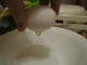 Yolk